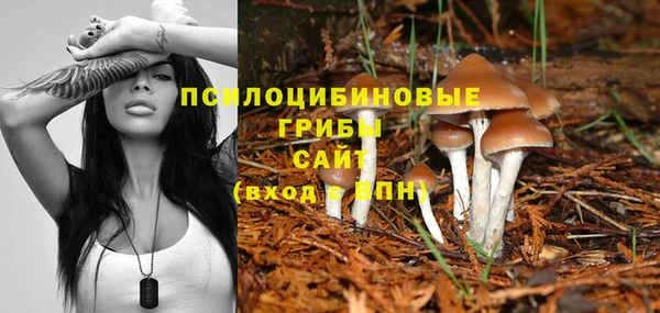 а пвп мука Алексин